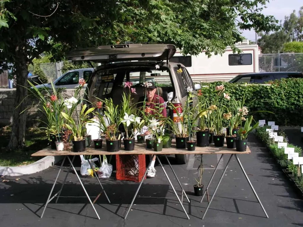 Venice Farmers Market